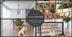 5 Vallas para perro seguras y efectivas